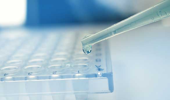 Batch-of-Stem-Cells